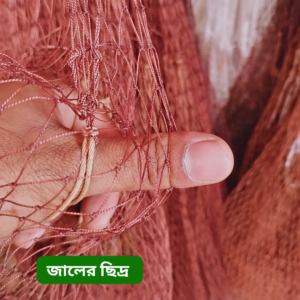 কট সুতার ঝাকি জাল